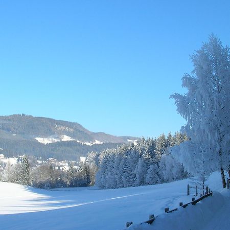 Ferienwohnungen Seifterhof Sankt Andrä im Lungau Zewnętrze zdjęcie